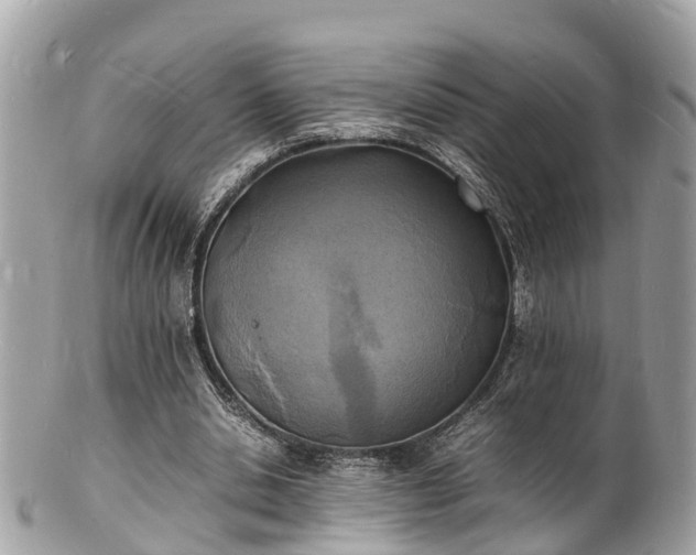 X0000100980438200807011447