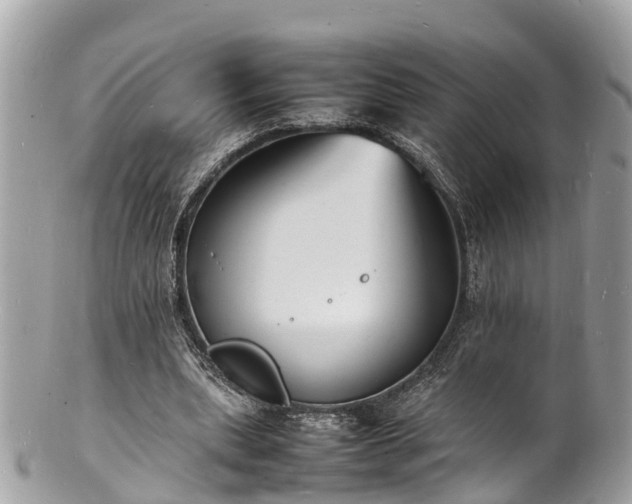 X0000100980439200807011447