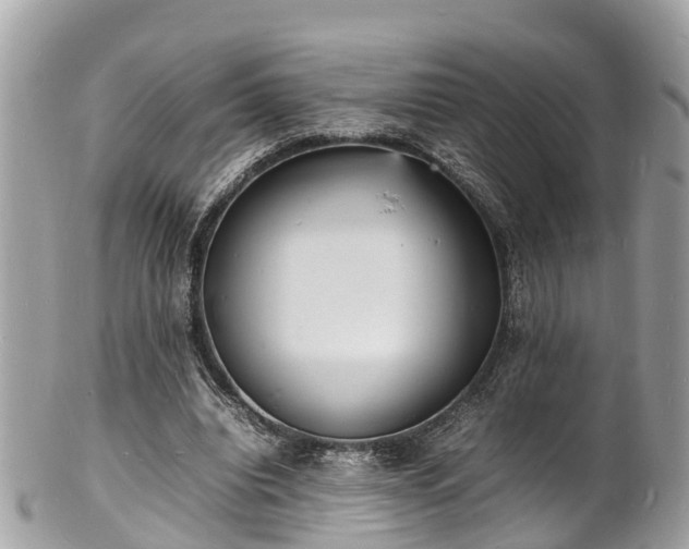 X0000100980440200807011447