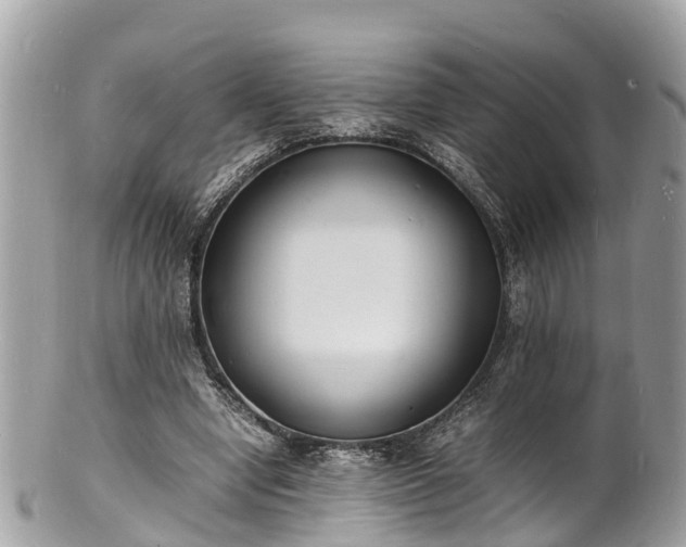 X0000100980442200807011447