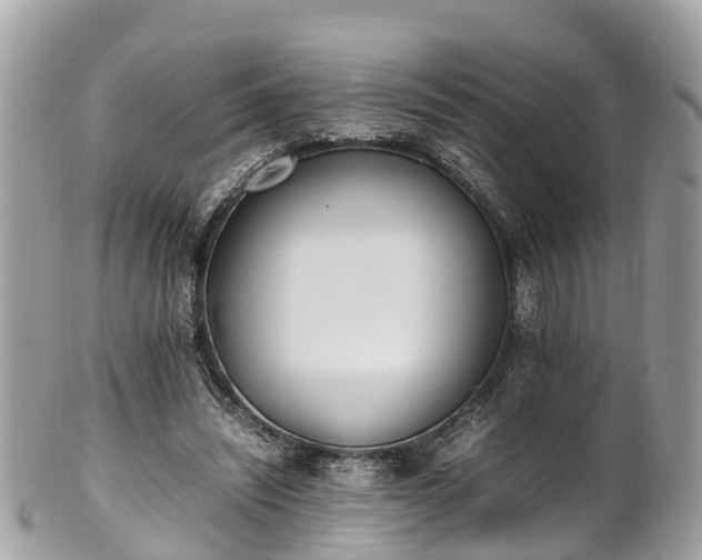 X0000100980444200807011447