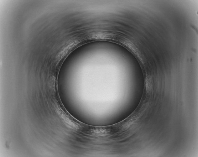 X0000100980445200807011447