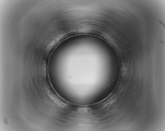 X0000100980446200807011447