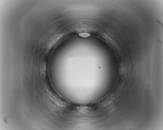 X0000100980448200807011447