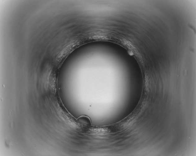 X0000100980449200807011447