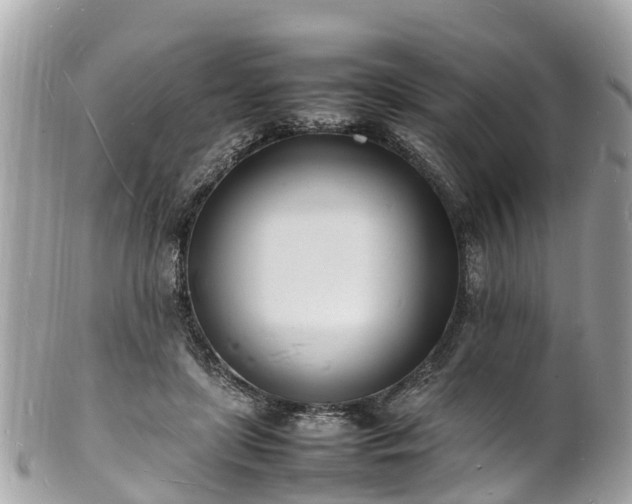 X0000100980451200807011447