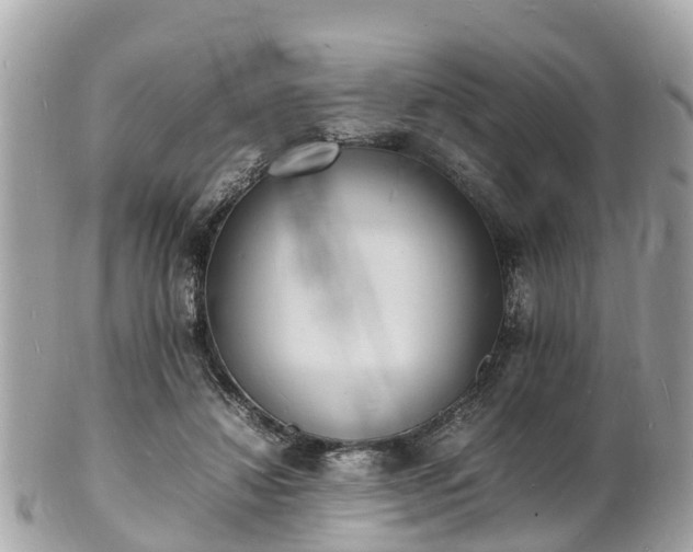 X0000100980452200807011447