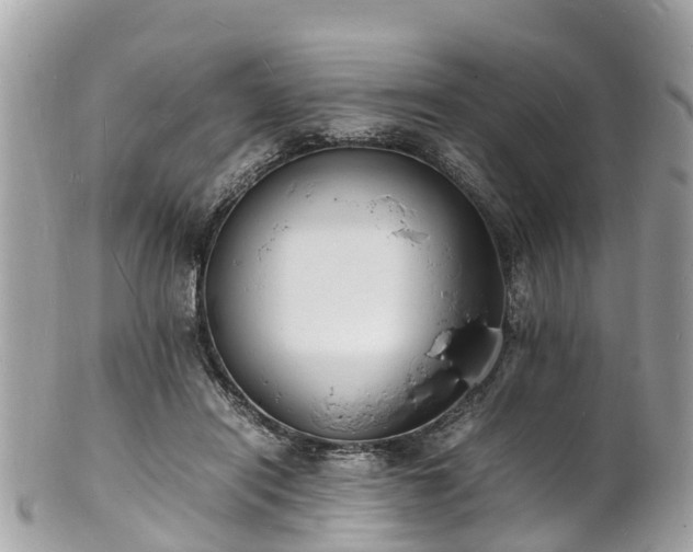 X0000100980454200807011447