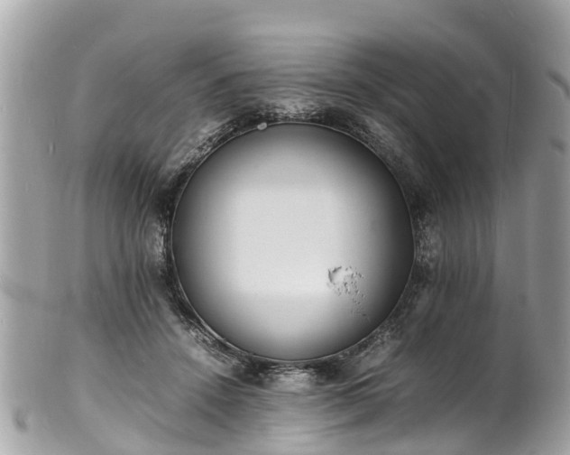 X0000100980456200807011447