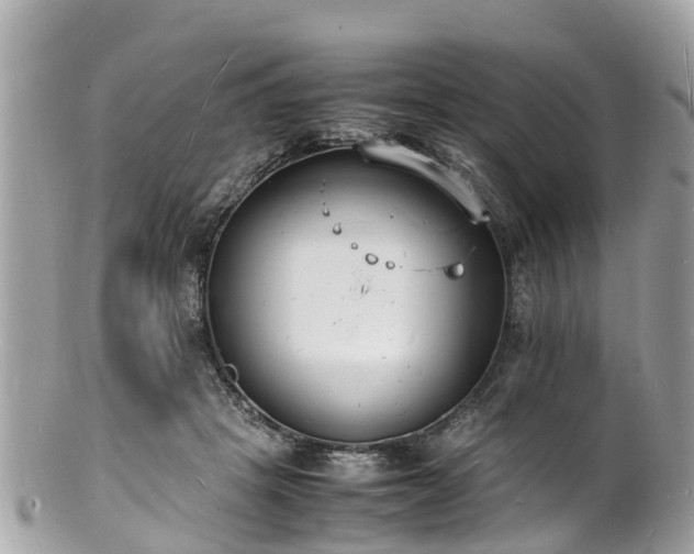 X0000100980457200807011447