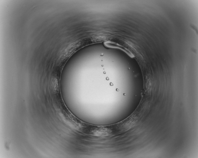 X0000100980459200807011447