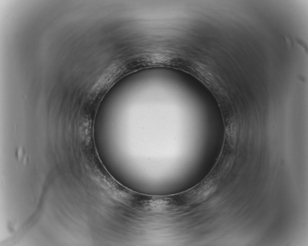 X0000100980462200807011447