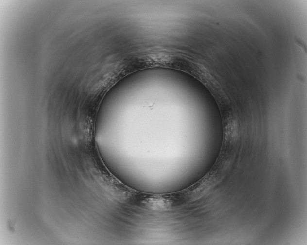 X0000100980464200807011447