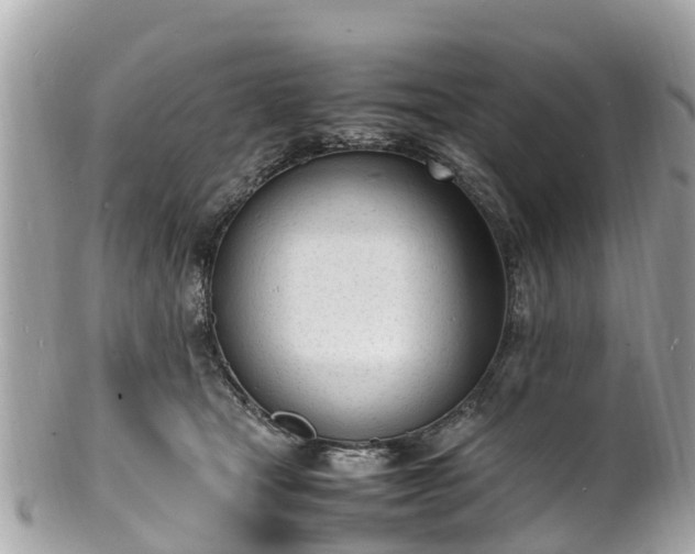 X0000100980465200807011447