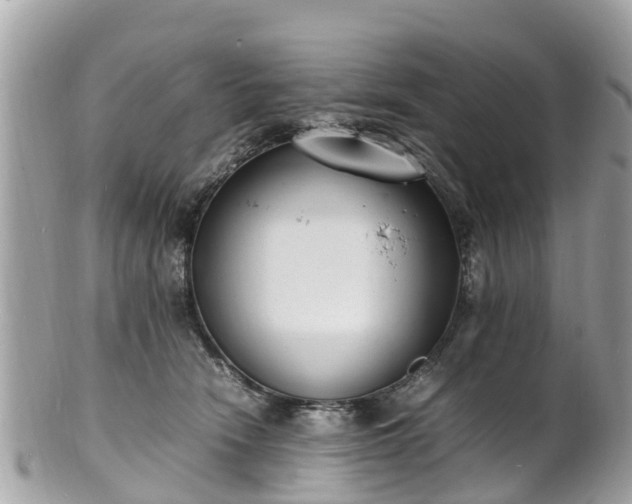 X0000100980466200807011447