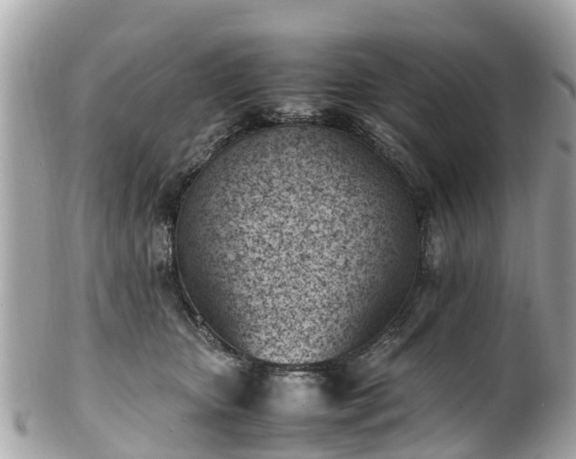 X0000100980467200807011447