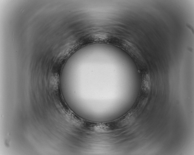 X0000100980468200807011447