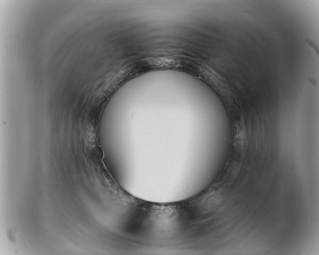 X0000100980469200807011447