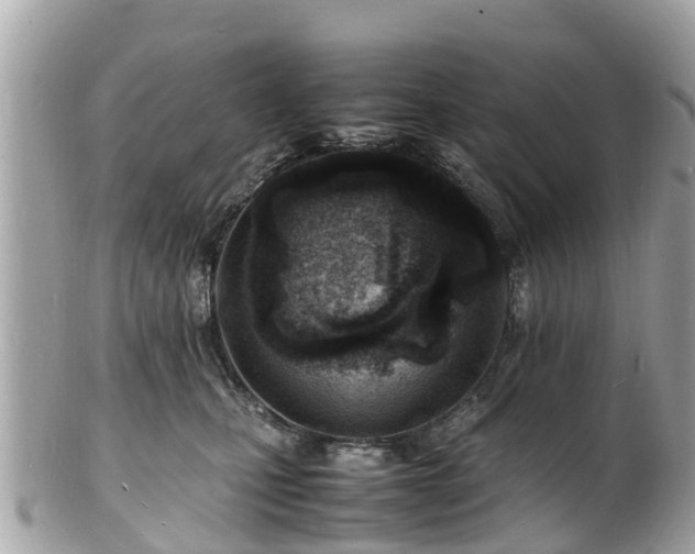 X0000100980471200807011447