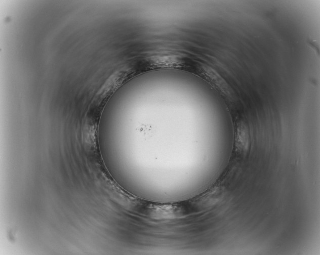 X0000100980473200807011447