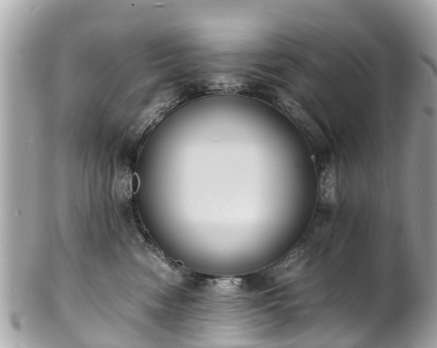 X0000100980474200807011447