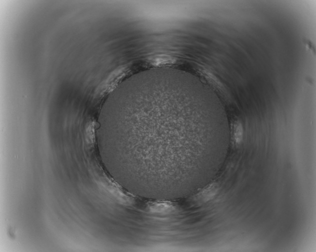 X0000100980475200807011447