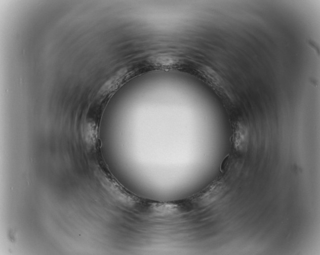 X0000100980476200807011447