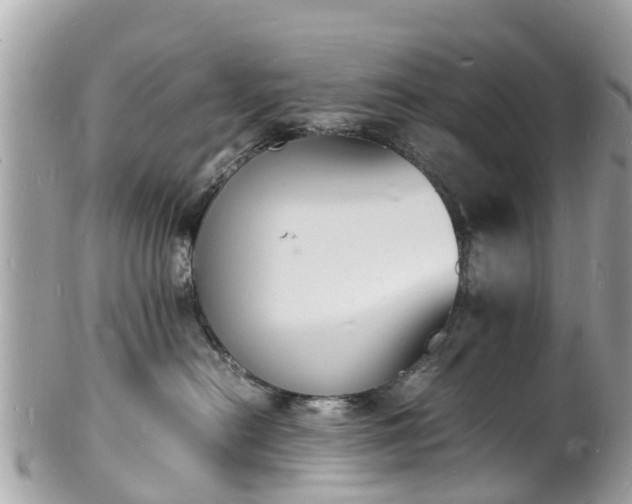 X0000100980478200807011447