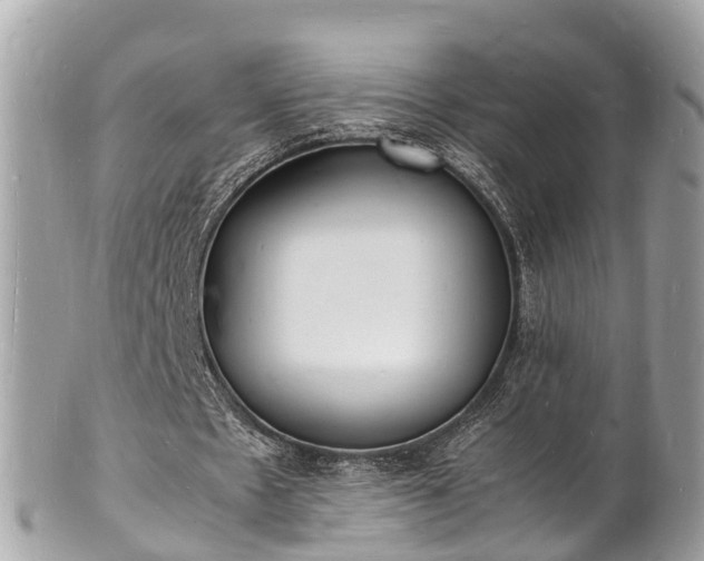 X0000100980481200807011447