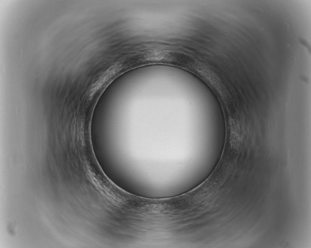 X0000100980482200807011447