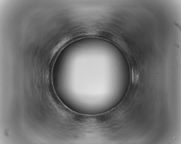 X0000100980483200807011447