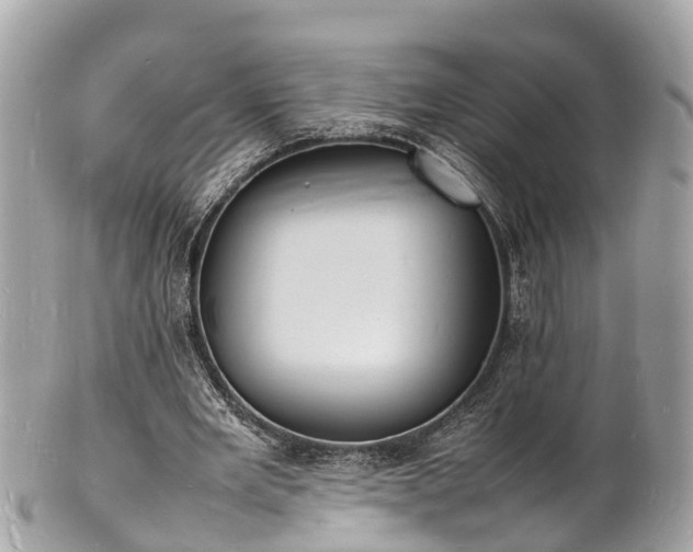 X0000100980485200807011447