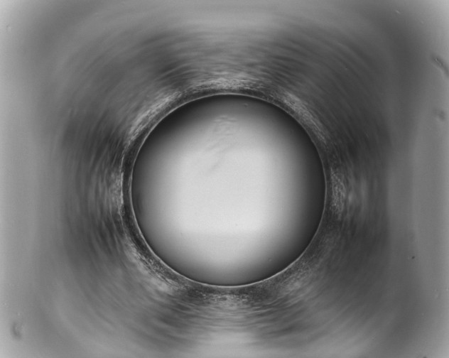 X0000100980486200807011447