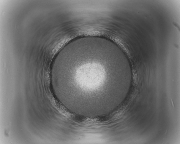 X0000100980487200807011447