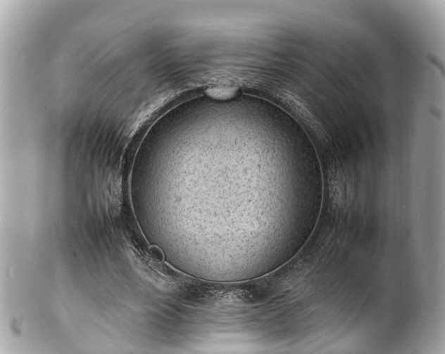 X0000100980488200807011447