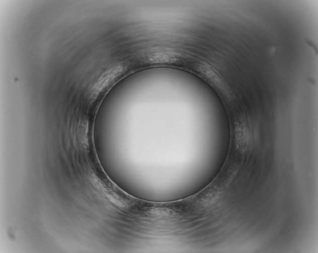 X0000100980490200807011447