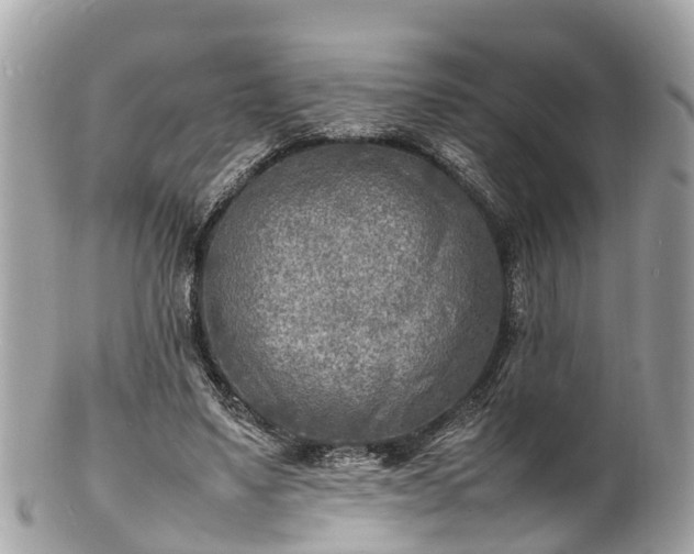 X0000100980491200807011447