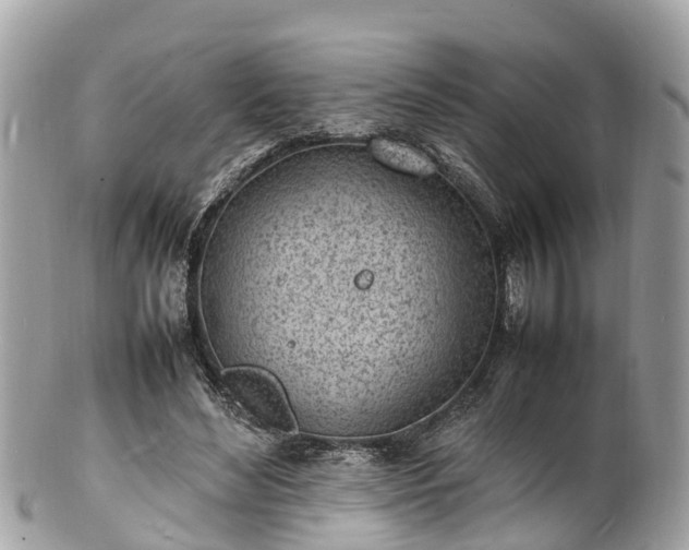 X0000100980492200807011446