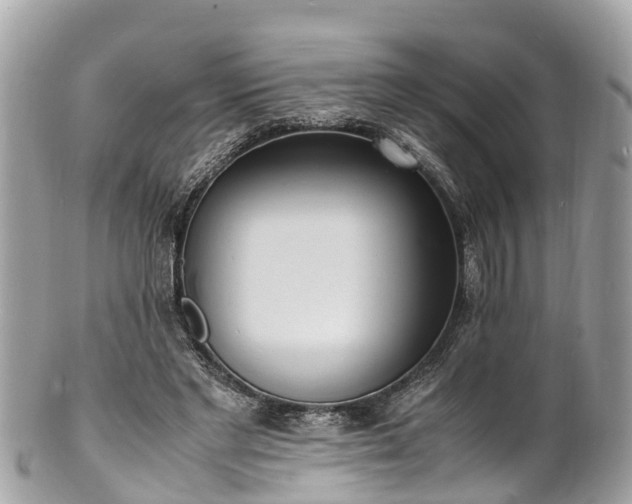 X0000100980493200807011446