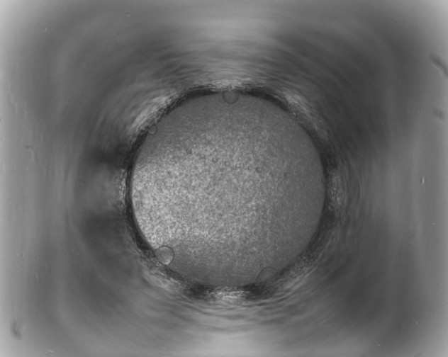 X0000100980495200807011446