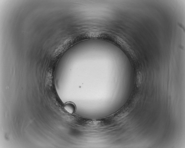 X0000100980497200807011446