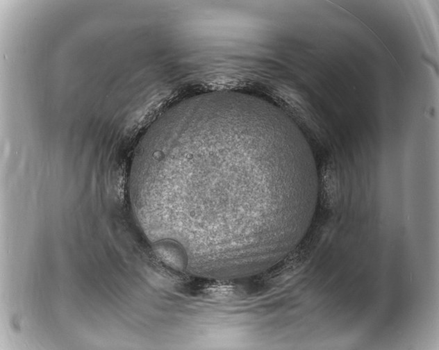 X0000100980499200807011446