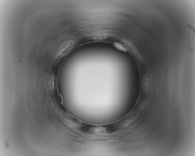 X0000100980501200807011446