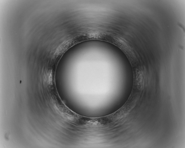 X0000100980502200807011446