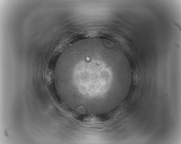 X0000100980503200807011446