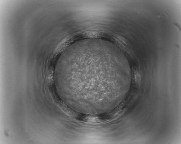 X0000100980507200807011446