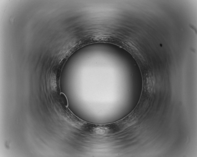 X0000100980508200807011446