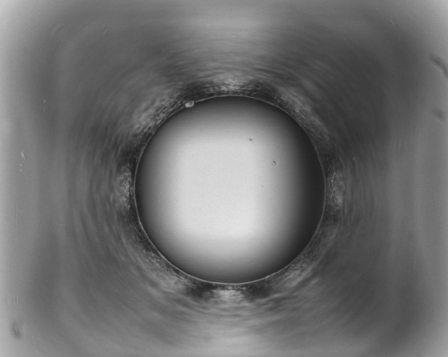 X0000100980509200807011446