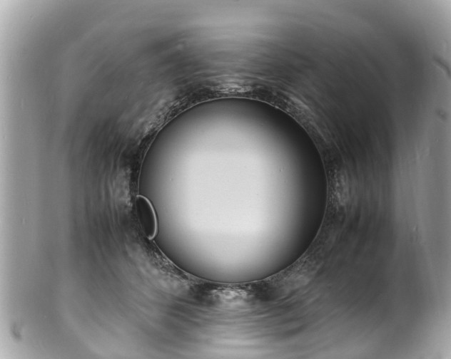 X0000100980512200807011446