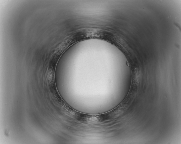 X0000100980513200807011446